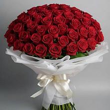 Букет 101 Красная роза Блэк Мэджик в Борках