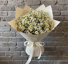 Букет цветов из:  Ромашки #REPLACE_PRED# Борках
