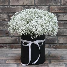 Цветочная композиция из Гипсофила в шляпной коробке в Борках