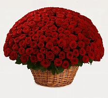 Премиум букет из: Розы в Борках