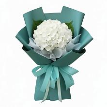 Букет цветов из:  Гортензия #REPLACE_PRED# Борках